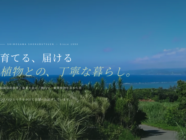 【お知らせ】公式ホームページを公開しました！